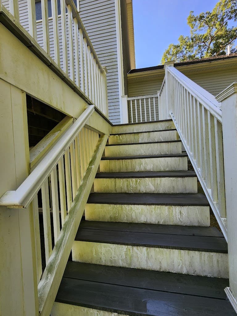 Wooden deck stairs partially cleaned, showing moss-covered treads next to freshly washed ones