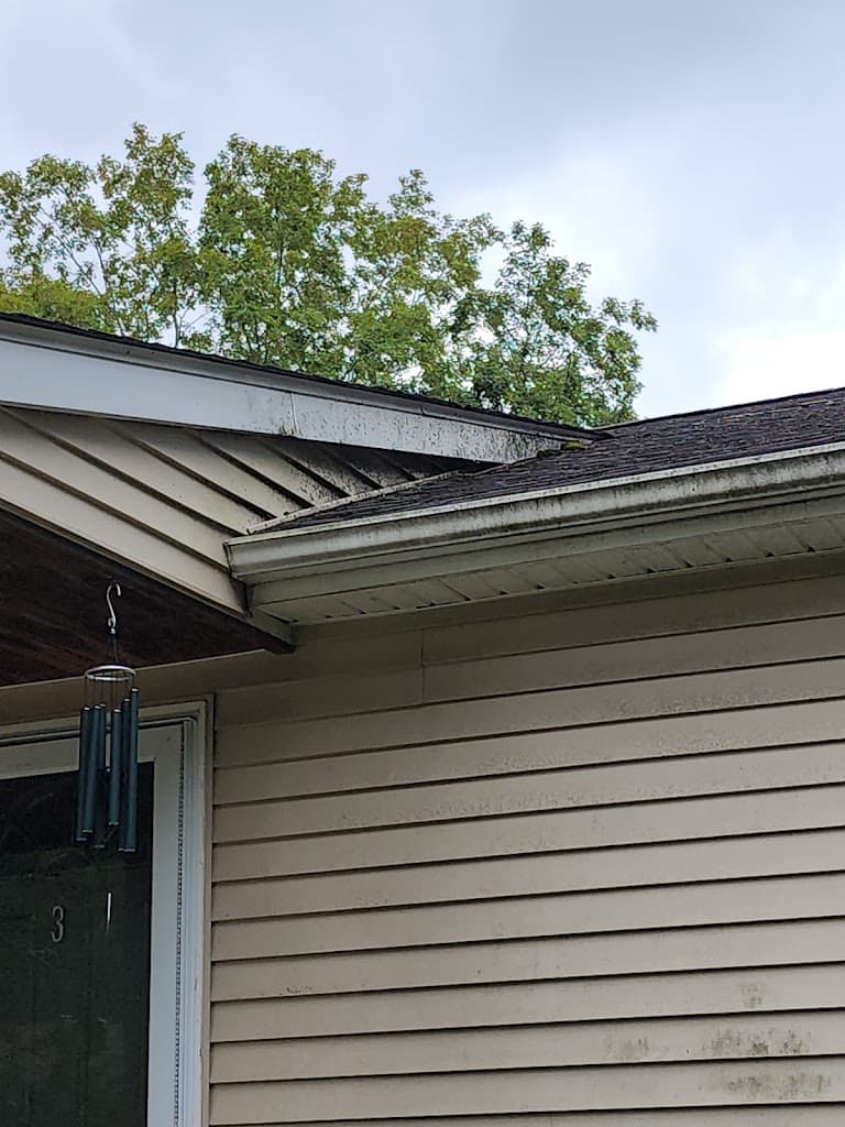 Roofline and gutter edge with visible algae and dirt staining